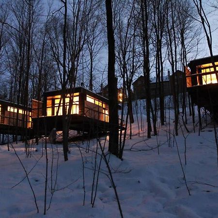 Cabin Sutton 252 - En Harmonie Avec La Nature! Villa Eksteriør bilde